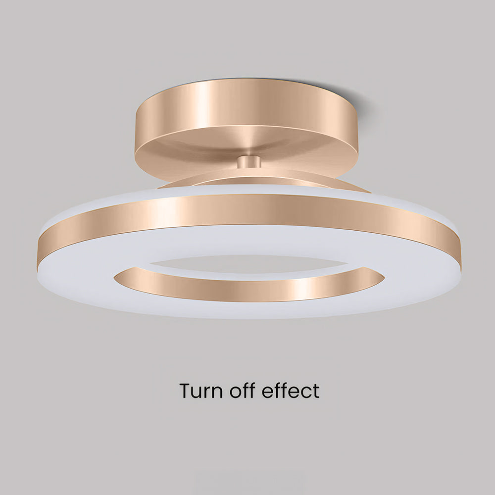 Modern LED Ceiling Light Flush Mount