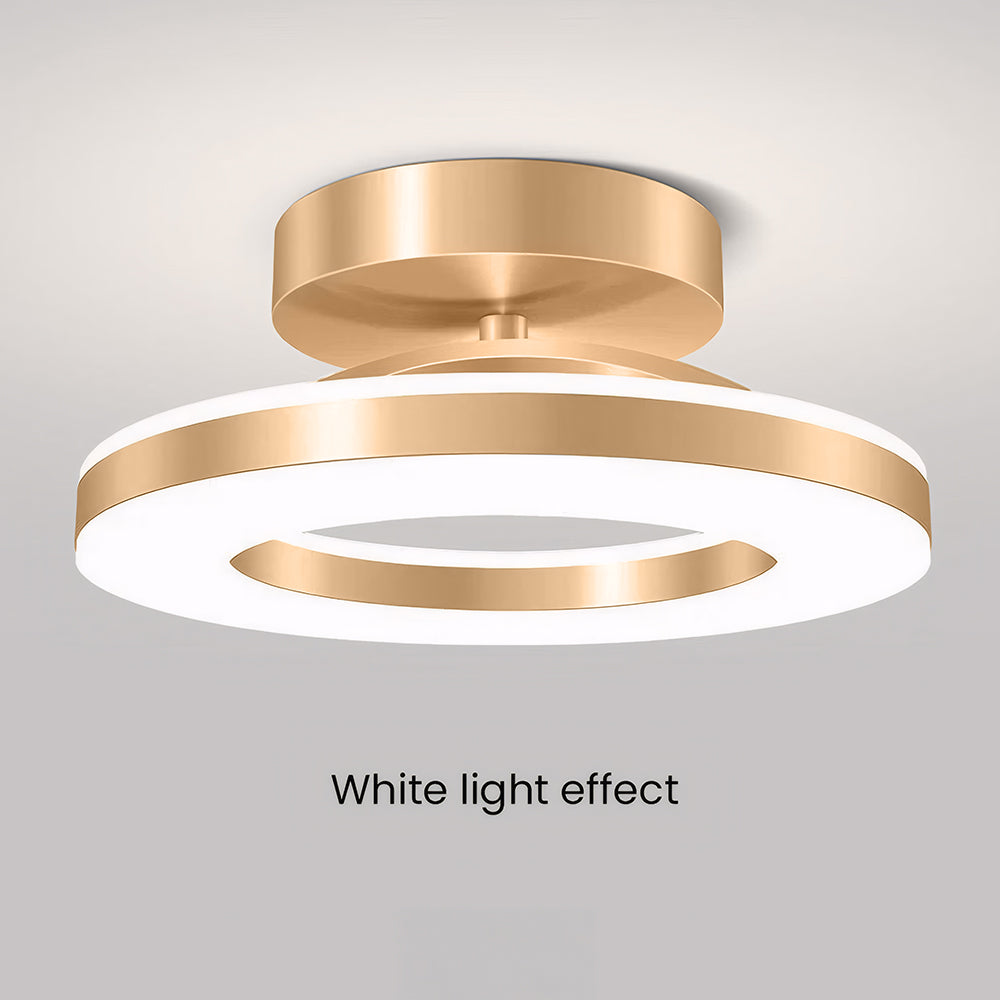 Modern LED Ceiling Light Flush Mount