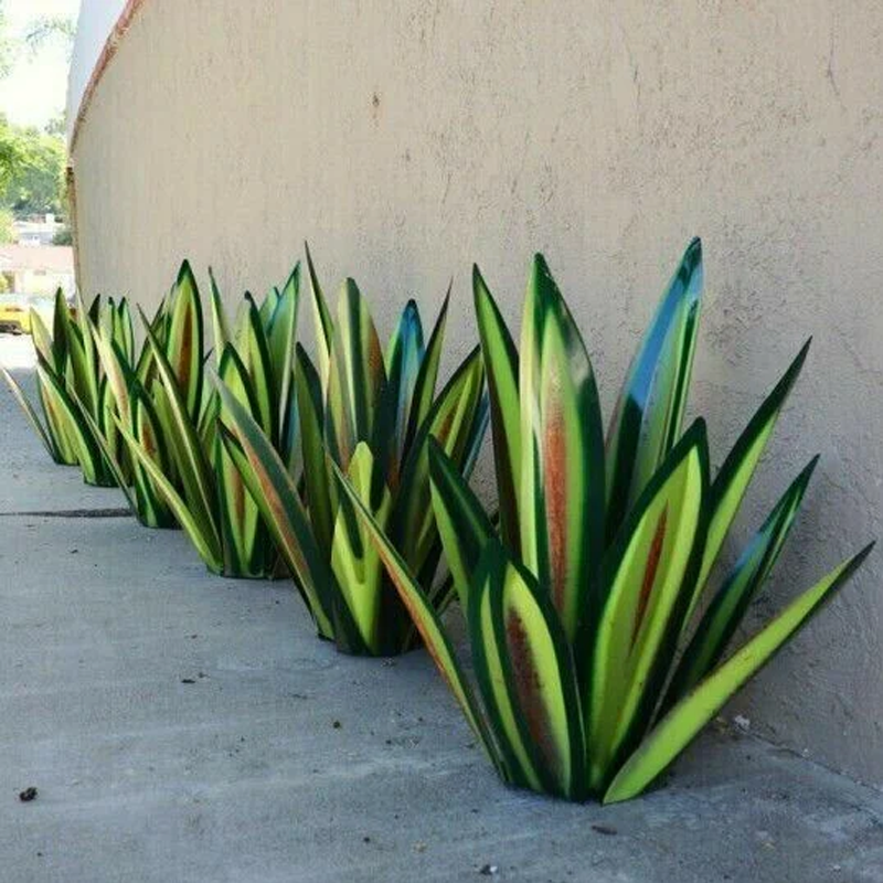 Garden Metal Art Agave Plant in Weathered Iron | Handmade Stemless Sculpture for Beds, Patios and Pots | Two Heights