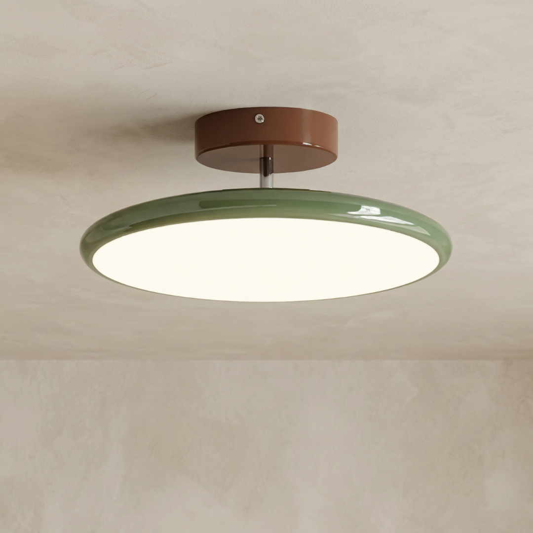 Modern Acrylic Ceiling Light LED Flush Mount
