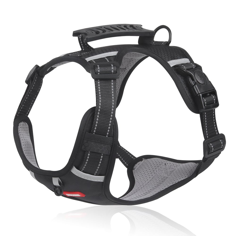 No Pull Dog Harness for Small Dogs and Larger Breeds | Mesh Chest Panel with a Back Handle | Five Sizes, XS to XL