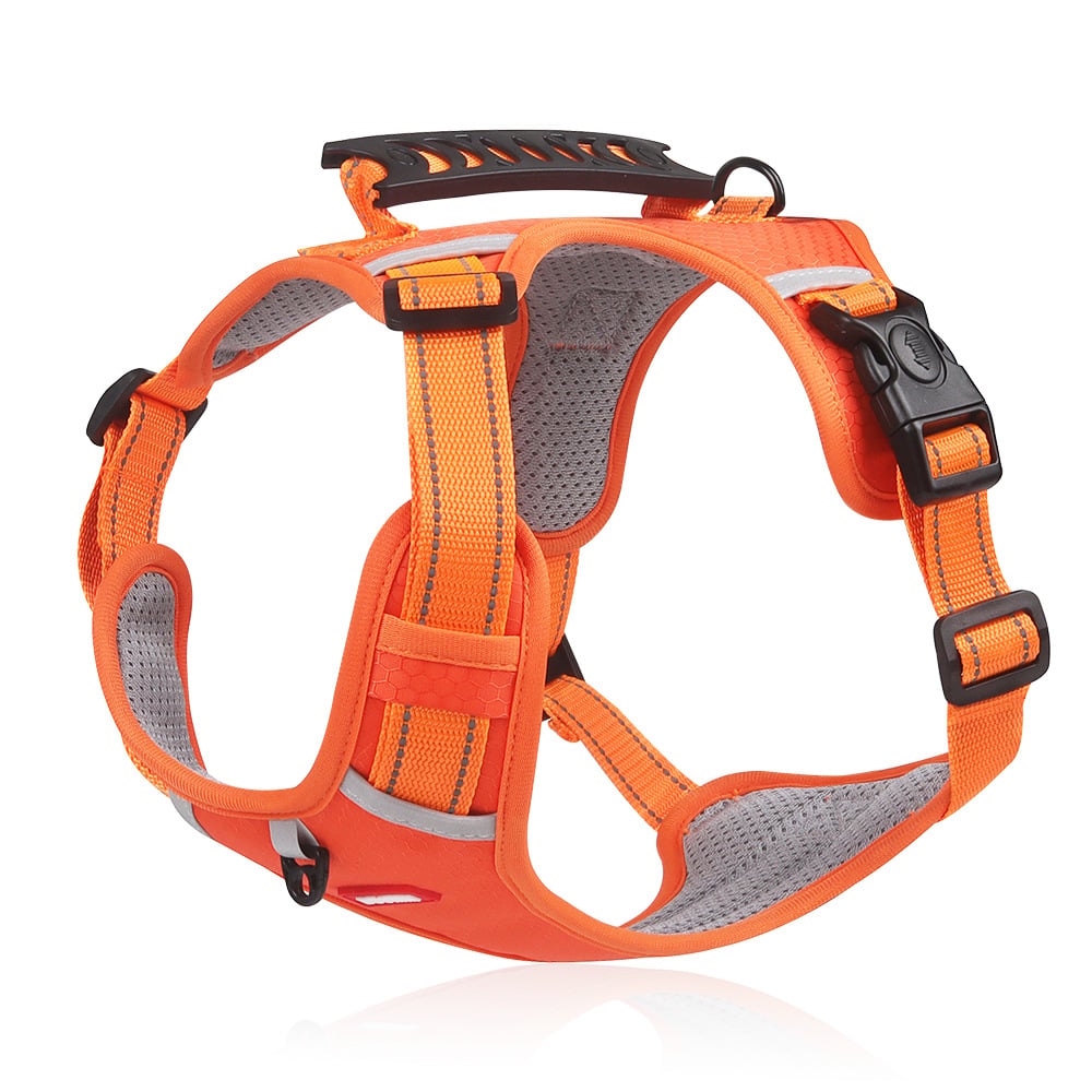 No Pull Dog Harness for Small Dogs and Larger Breeds | Mesh Chest Panel with a Back Handle | Five Sizes, XS to XL