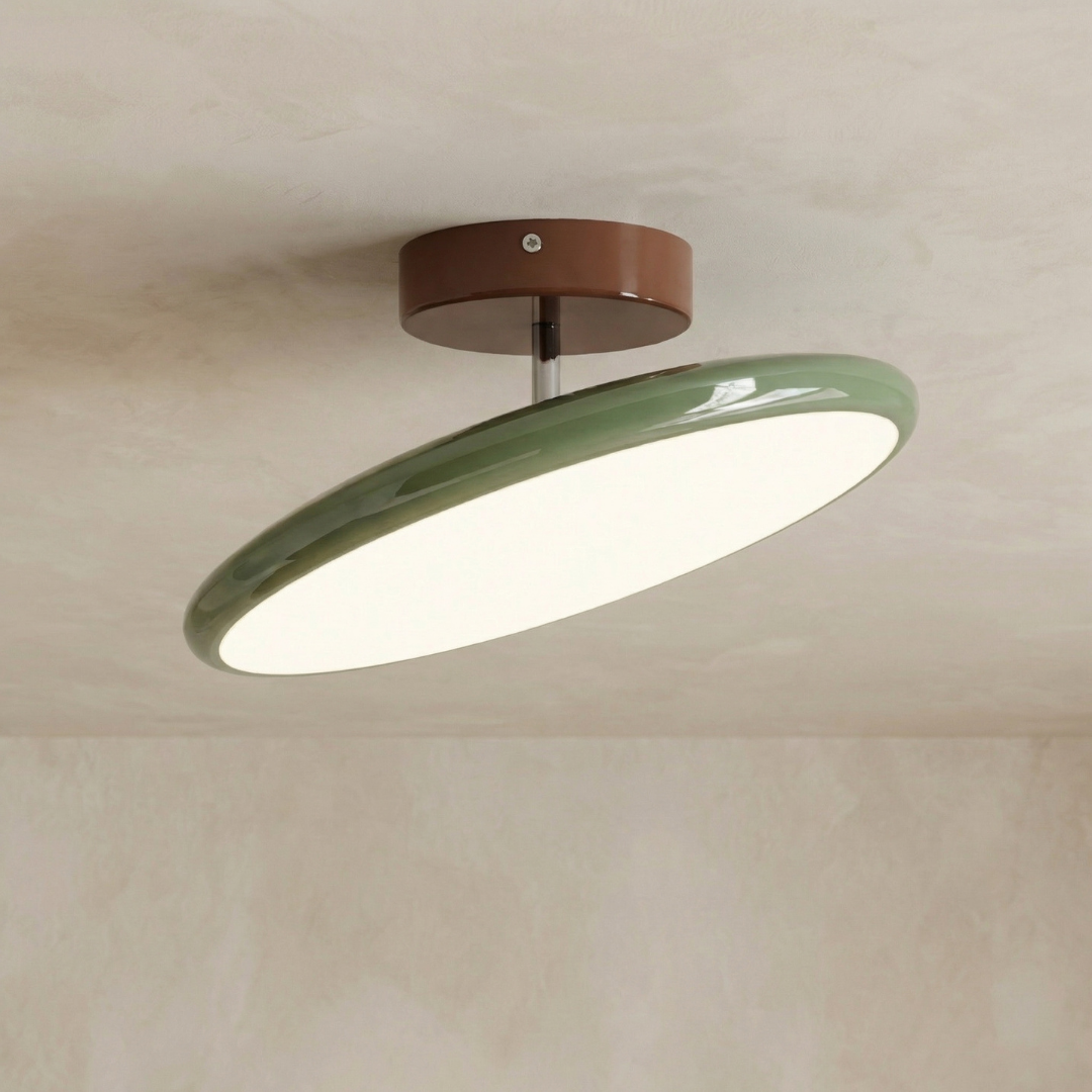 Modern Acrylic Ceiling Light LED Flush Mount