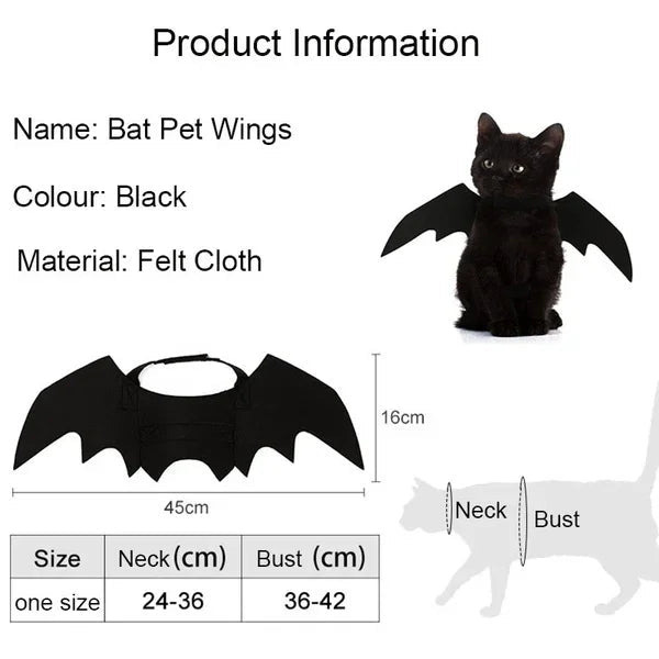 Cat dressed in black bat wings for a Halloween photo