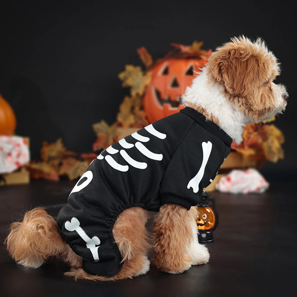 Skeleton Dog Halloween Costume | Glow In The Dark Print On Breathable Polyester | Four Leg Jumpsuit, Sizes M To XL