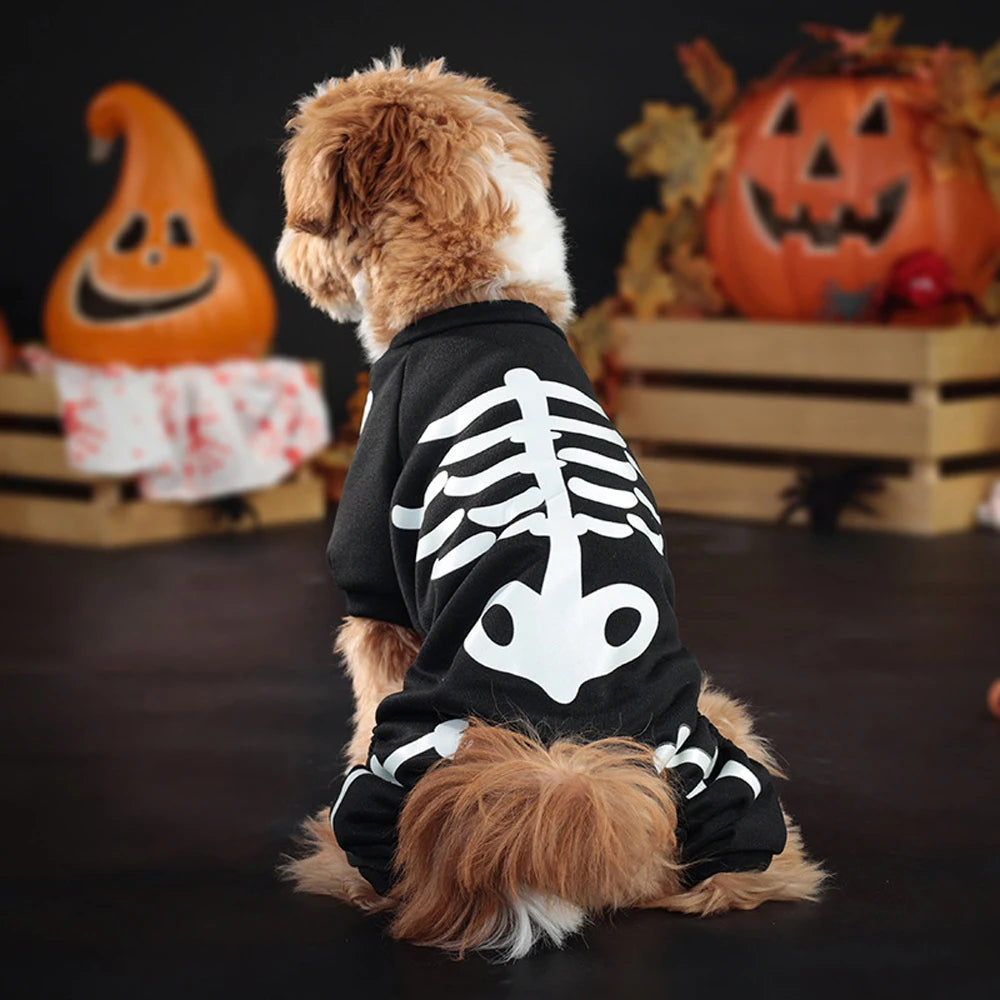 Skeleton Dog Halloween Costume | Glow In The Dark Print On Breathable Polyester | Four Leg Jumpsuit, Sizes M To XL