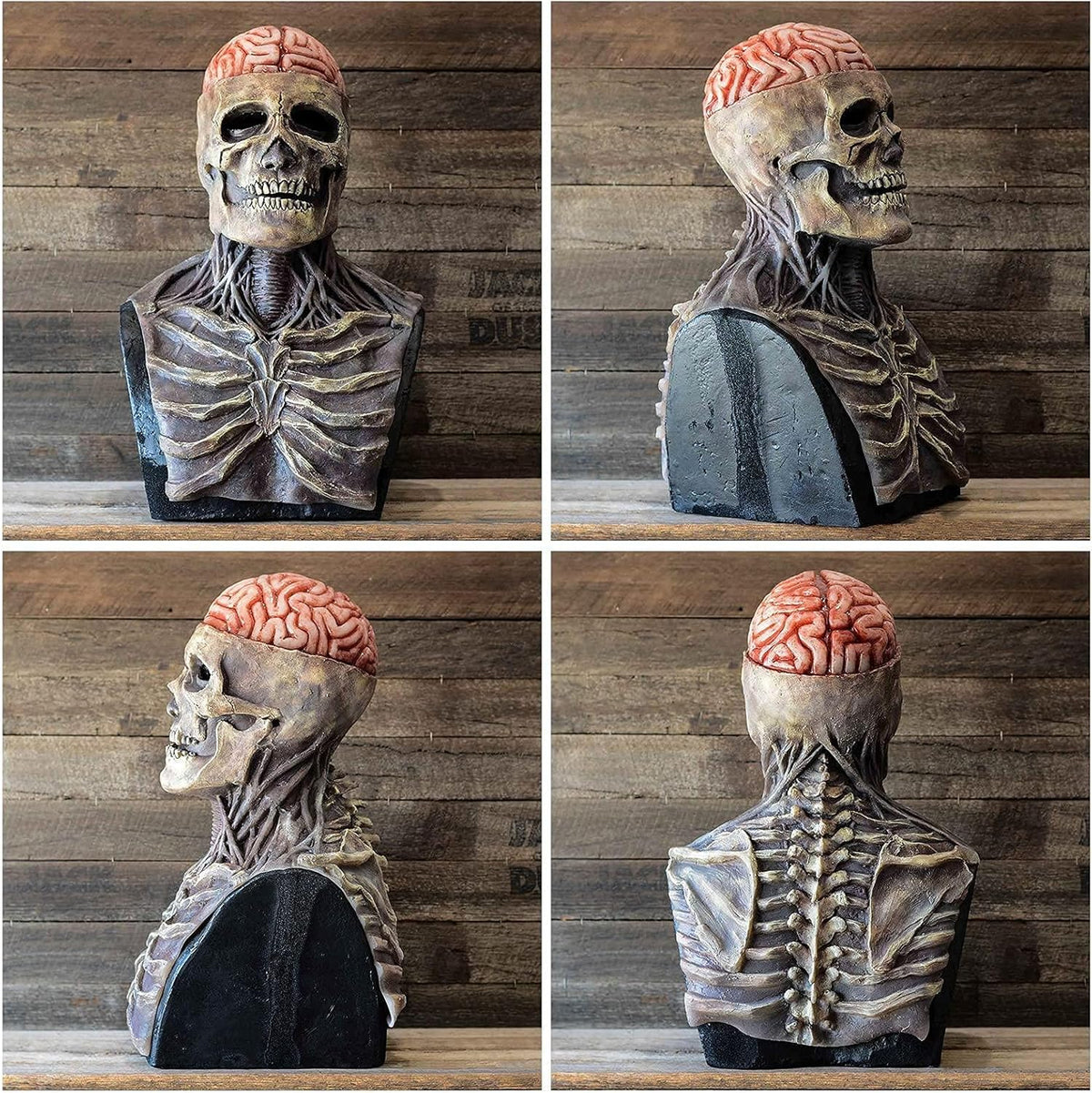Halloween Skeleton Mask with an Exposed Brain and a Moving Jaw | Latex Cover for Head, Neck, Shoulders and Chest | One Size
