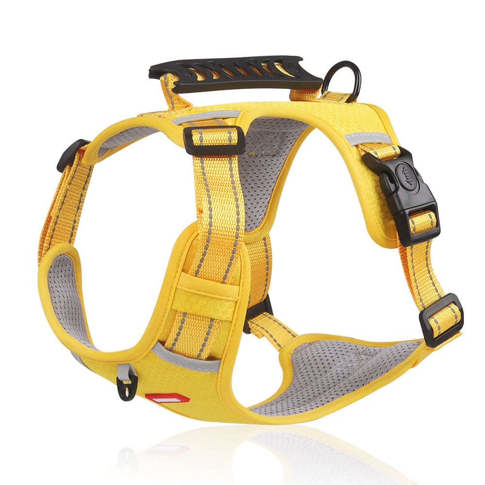 No Pull Dog Harness for Small Dogs and Larger Breeds | Mesh Chest Panel with a Back Handle | Five Sizes, XS to XL