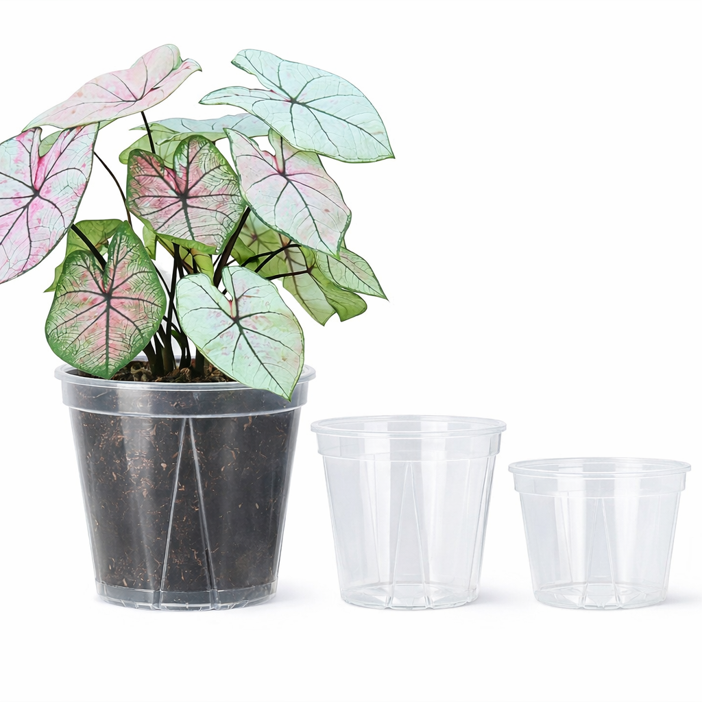 Transparent Plant Pots with Drainage Holes | 3 Sizes 3.94-5.51 In | Clear Design for Root Monitoring & Healthy Growth
