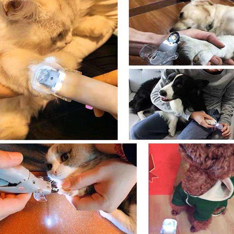 Dog Nail Cutter with LED Light and a Clear Magnifying Cap | Shows the Quick So You Do Not Cut Too Short | Also for Cats and Small Pets