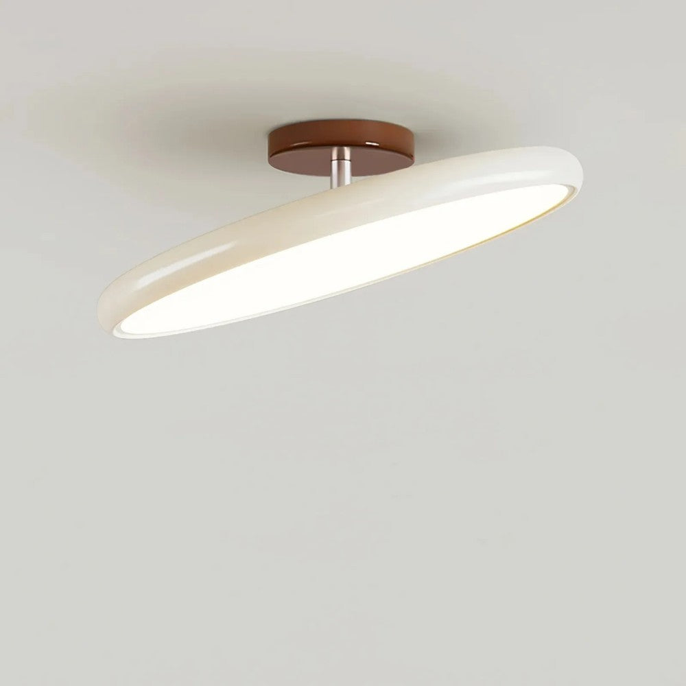 Modern Acrylic Ceiling Light LED Flush Mount