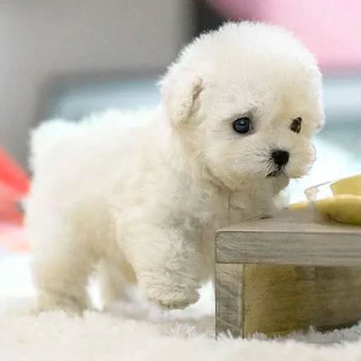 Interactive Plush Dog Toy with Gentle Lifelike Movements | Brown or White | Soft Cuddly Battery-Powered Companion