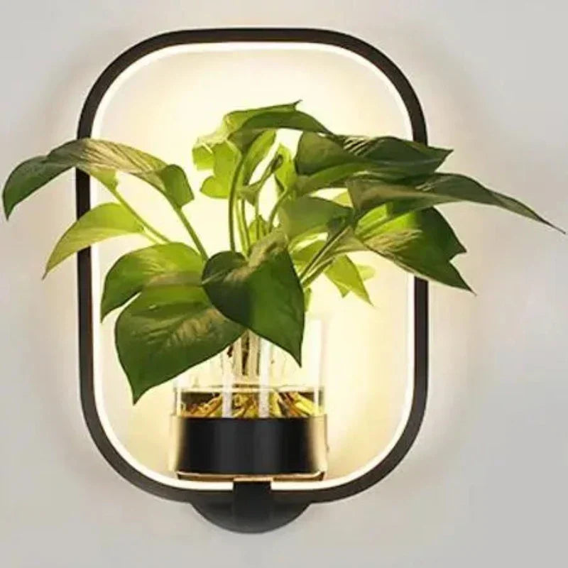 LED Sconce with a Built In Glass Pot | Plant Wall Hanging in Two Shapes, Warm or Cool White | Iron and Aluminum Frame