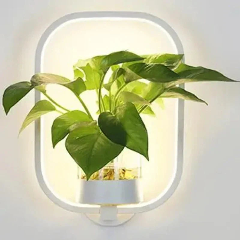 LED Sconce with a Built In Glass Pot | Plant Wall Hanging in Two Shapes, Warm or Cool White | Iron and Aluminum Frame