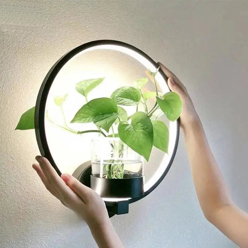 LED Sconce with a Built In Glass Pot | Plant Wall Hanging in Two Shapes, Warm or Cool White | Iron and Aluminum Frame