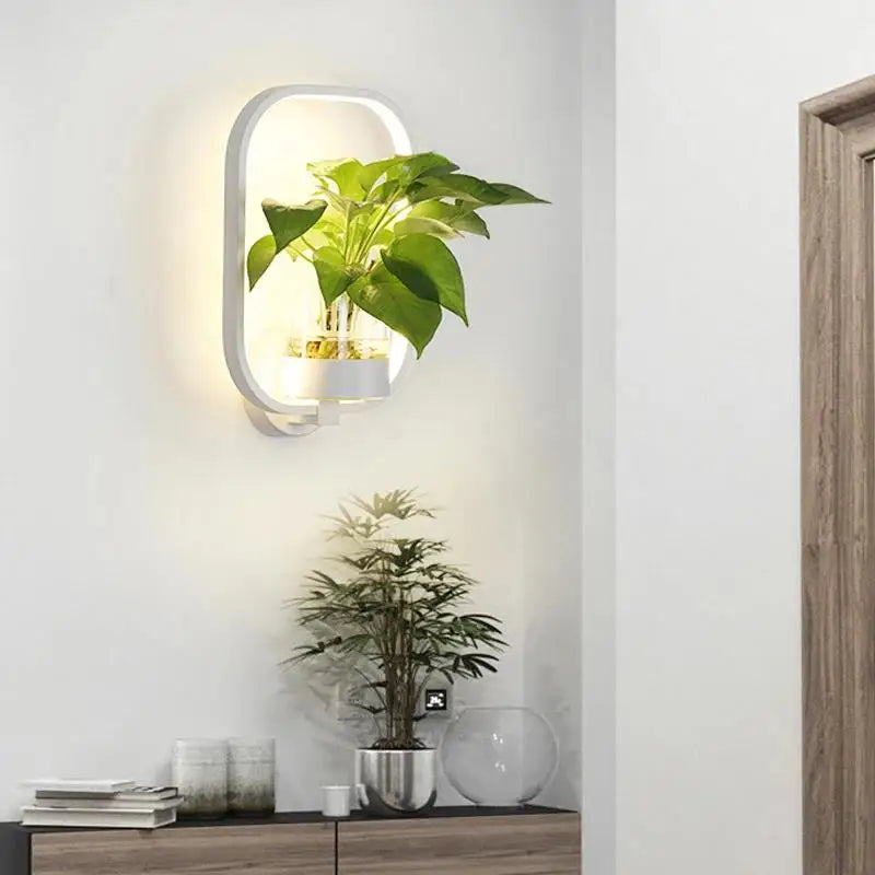 LED Sconce with a Built In Glass Pot | Plant Wall Hanging in Two Shapes, Warm or Cool White | Iron and Aluminum Frame