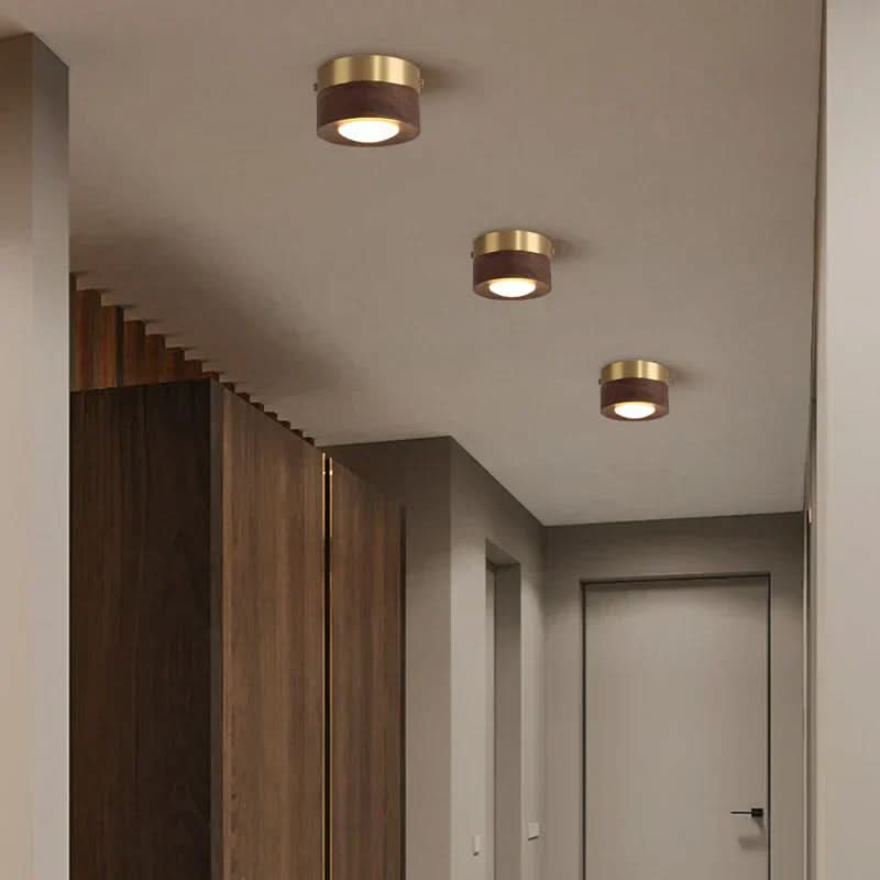 EMBERLED - Energy-saving Walnut Light Solution product image