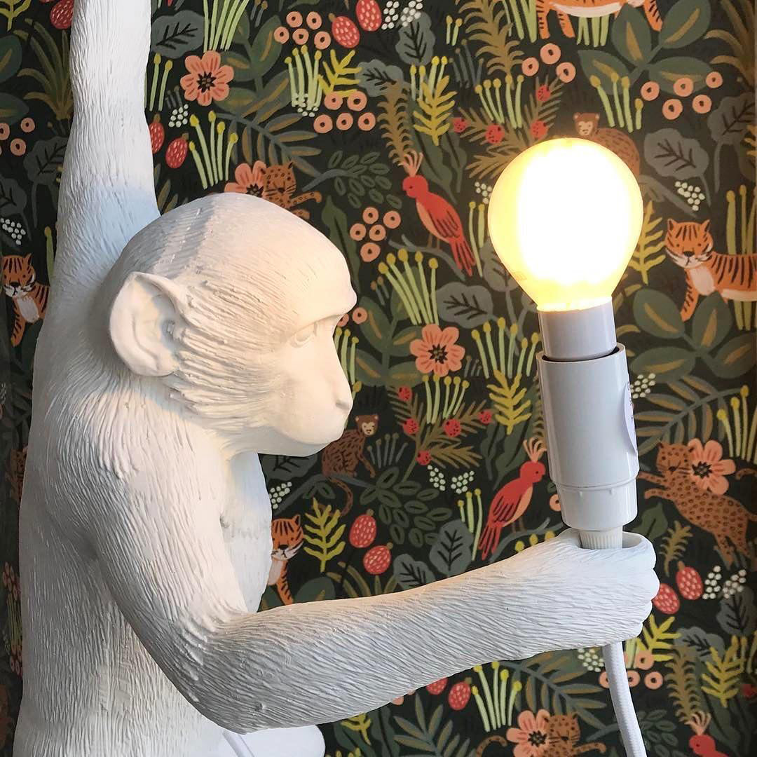 Monkey Pendant Light Hanging Ceiling Lamp