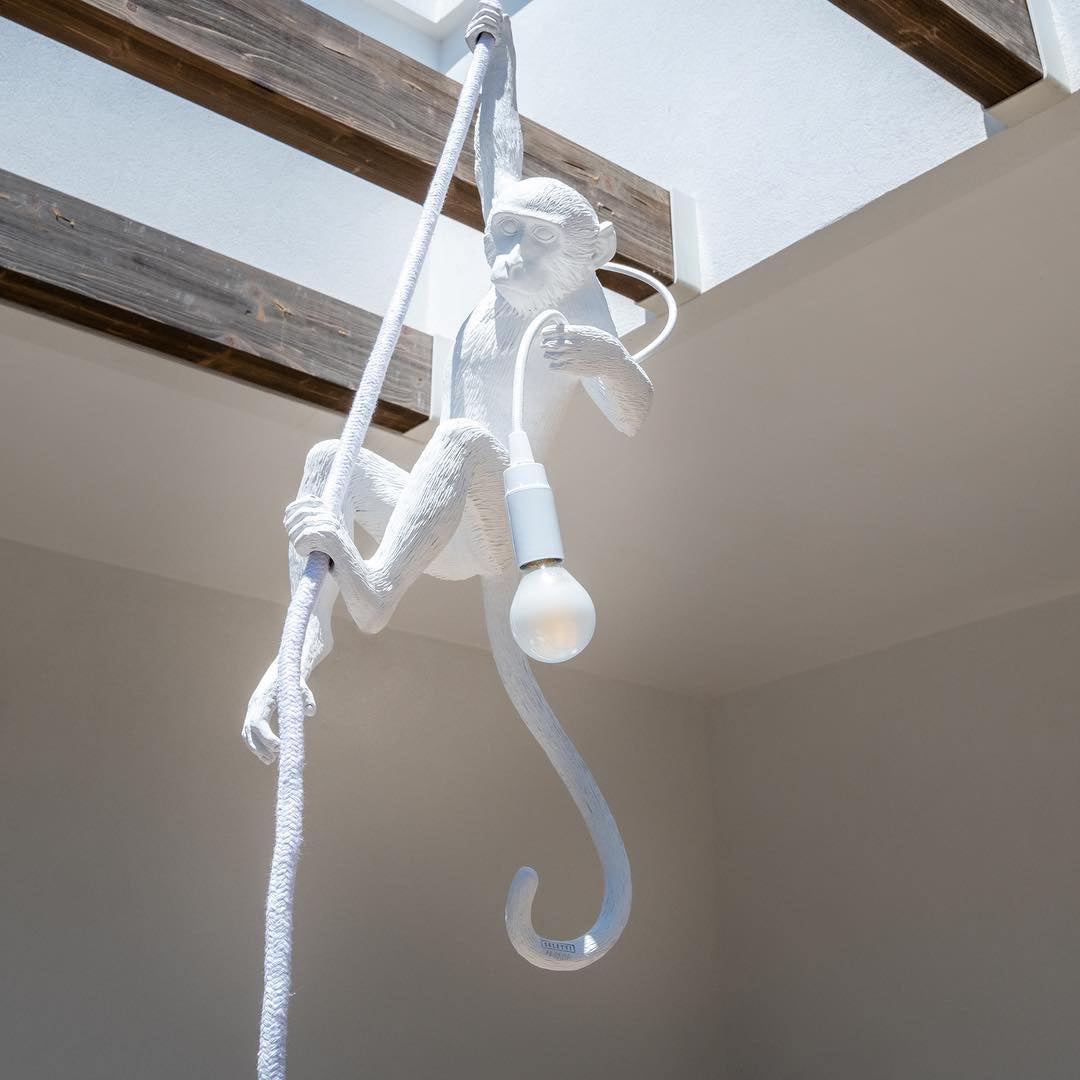 Monkey Pendant Light Hanging Ceiling Lamp