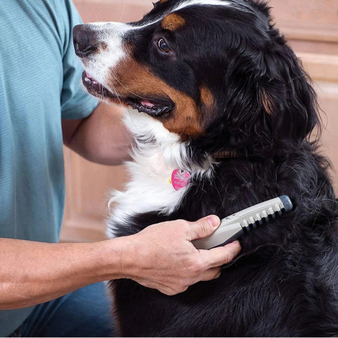 Dog Grooming Brush and Trimmer for Mats and Tangles | Glides Through Thick or Fine Coats and Cuts Only Where Needed | Easy to Clean