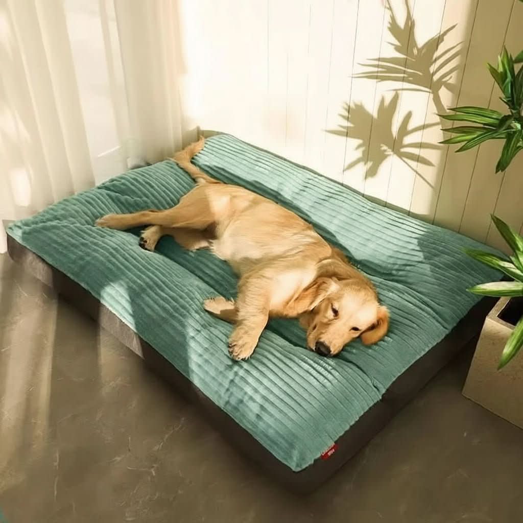 Orthopedic Dog Bed with Joint-Support Cushion | Sizes M to XL, Up to 47.2 x 37.4 In | Soft Plush Surface for All Dog Ages