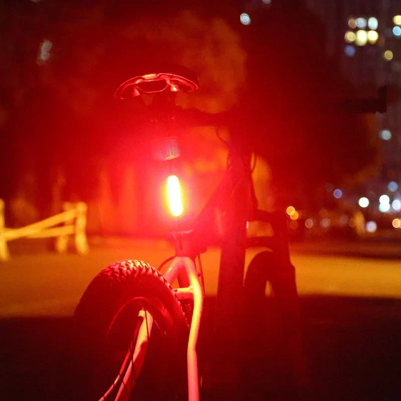 LED Bike Light with Flashing Safety Mode | Mounts at the Front or the Rear | USB Charging, 4 Color Options