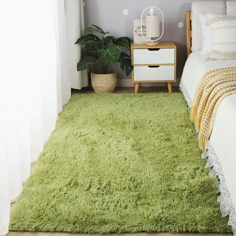 Non Slip Plush Area Rug