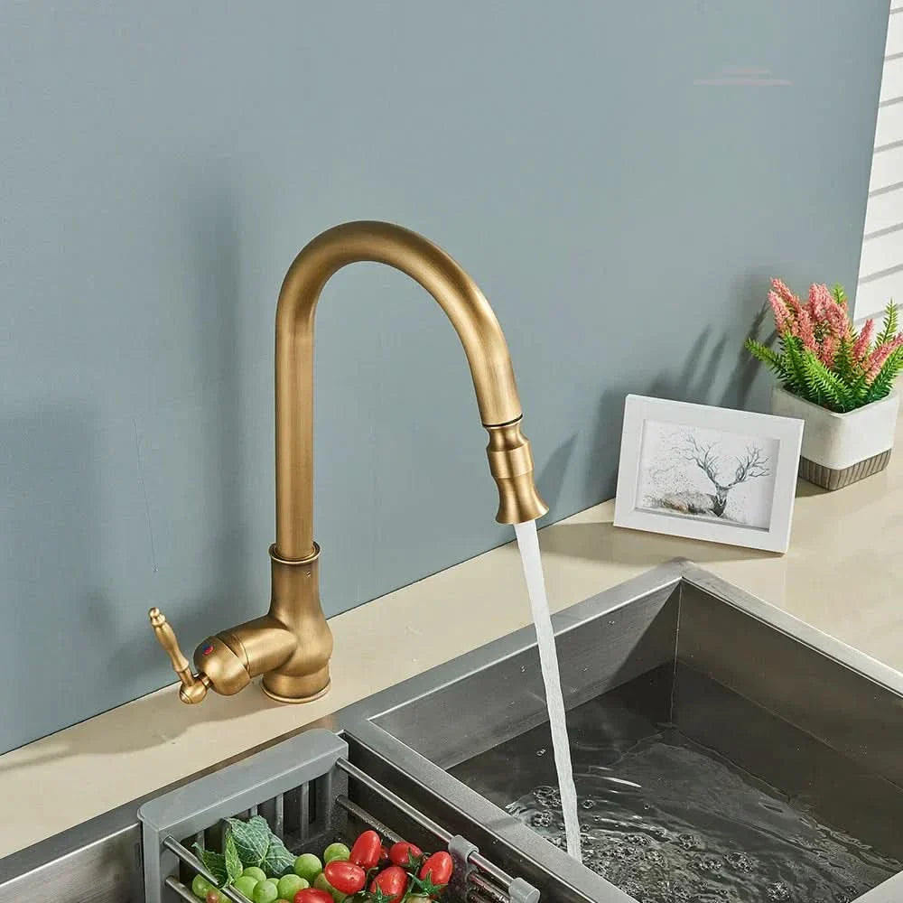 Antique Brass Kitchen Faucet