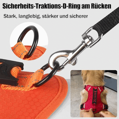 No Pull Dog Harness for Small Dogs and Larger Breeds | Mesh Chest Panel with a Back Handle | Five Sizes, XS to XL