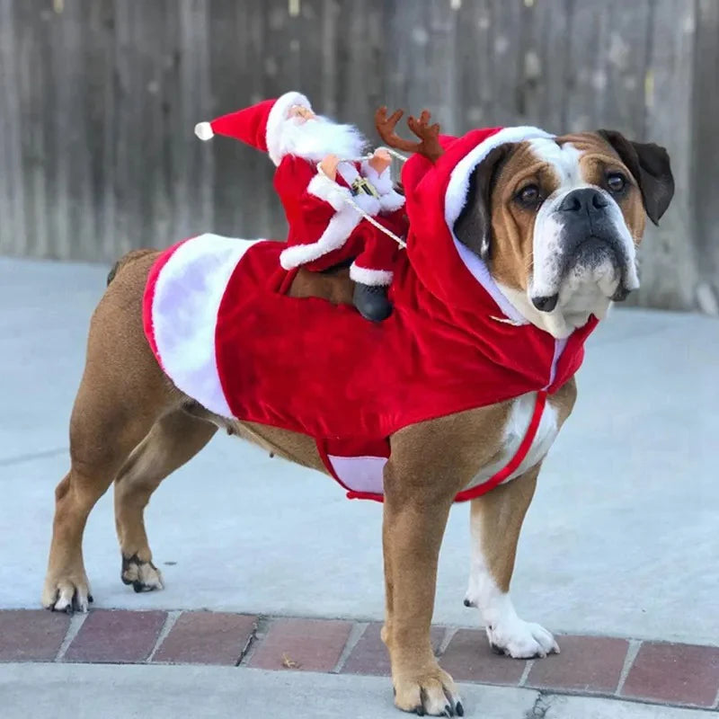 Santa Claus Dog Costume in Soft Fabric | Festive Christmas Outfit for Your Pet | Warm Xmas Clothing for Holiday Photos