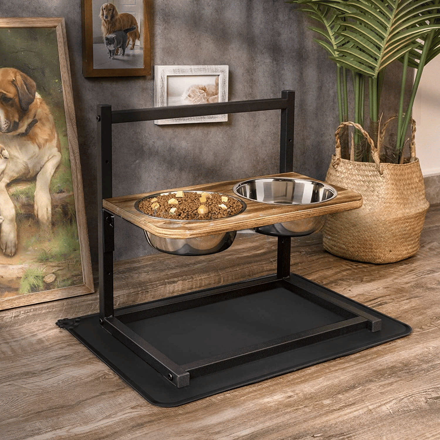 Elevated Dog Feeding Station