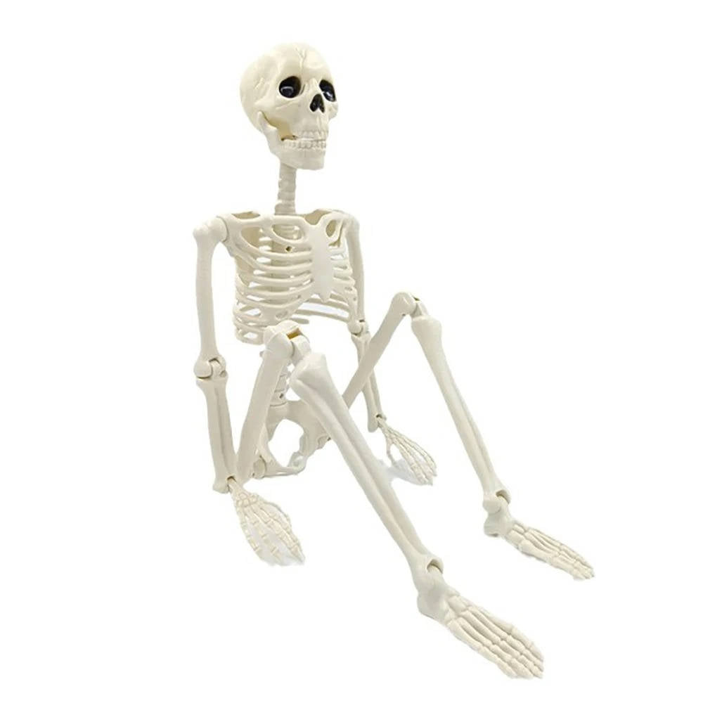 Close up of the anatomically detailed plastic skeleton decoration