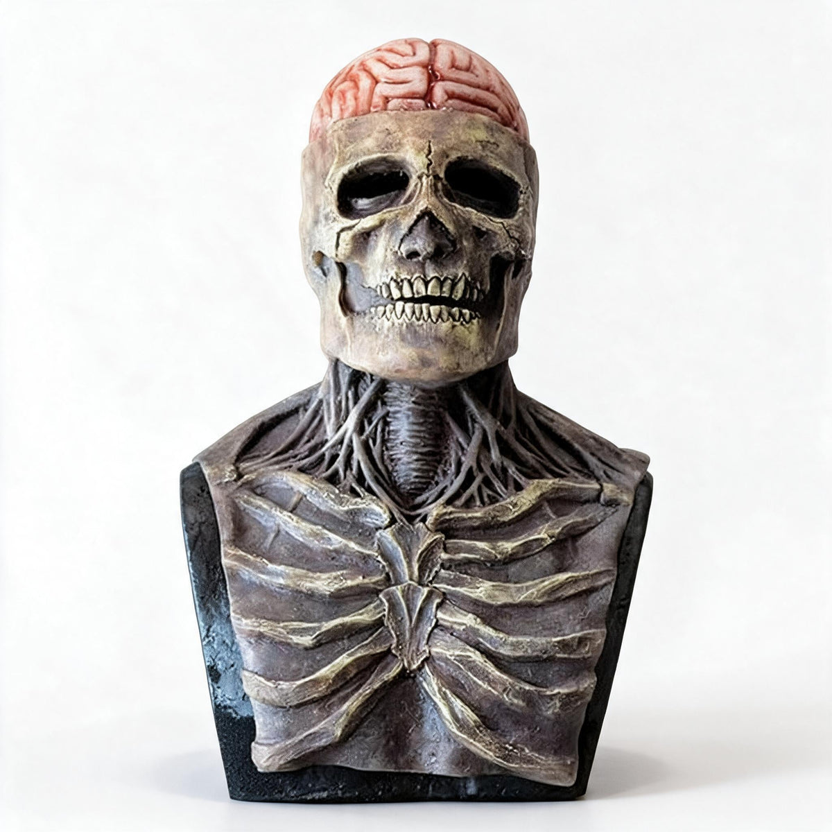 Halloween Skeleton Mask with an Exposed Brain and a Moving Jaw | Latex Cover for Head, Neck, Shoulders and Chest | One Size