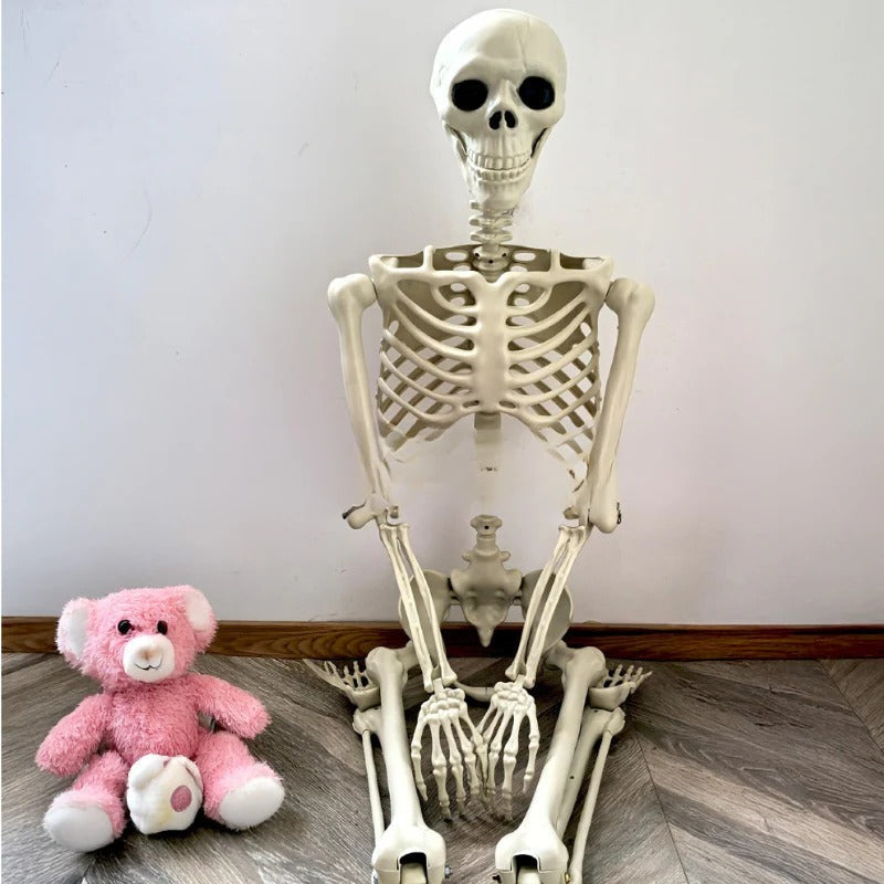 Halloween skeleton with poseable adjustable joints