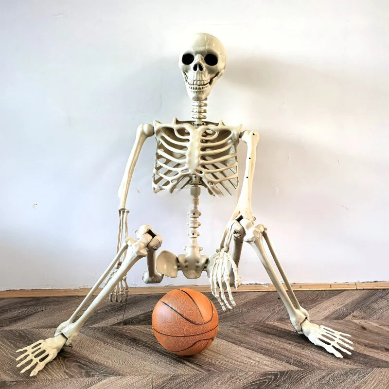 Life-size 67 inch Halloween skeleton decoration