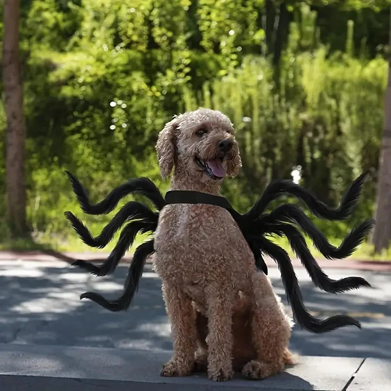 Pet spider Halloween costume in XL, sized for medium dog breeds