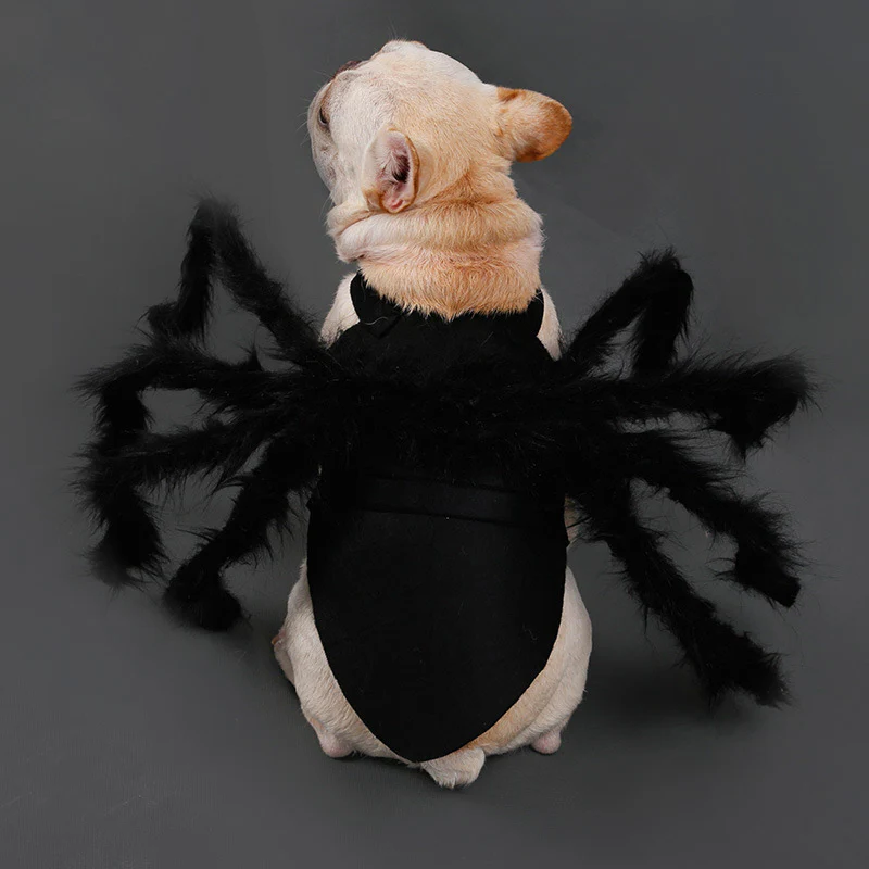 Pet spider Halloween costume in Large, sized for small dogs