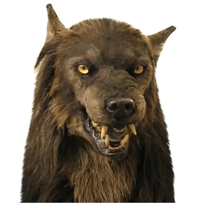 Full wolf head Halloween mask worn as a costume accessory