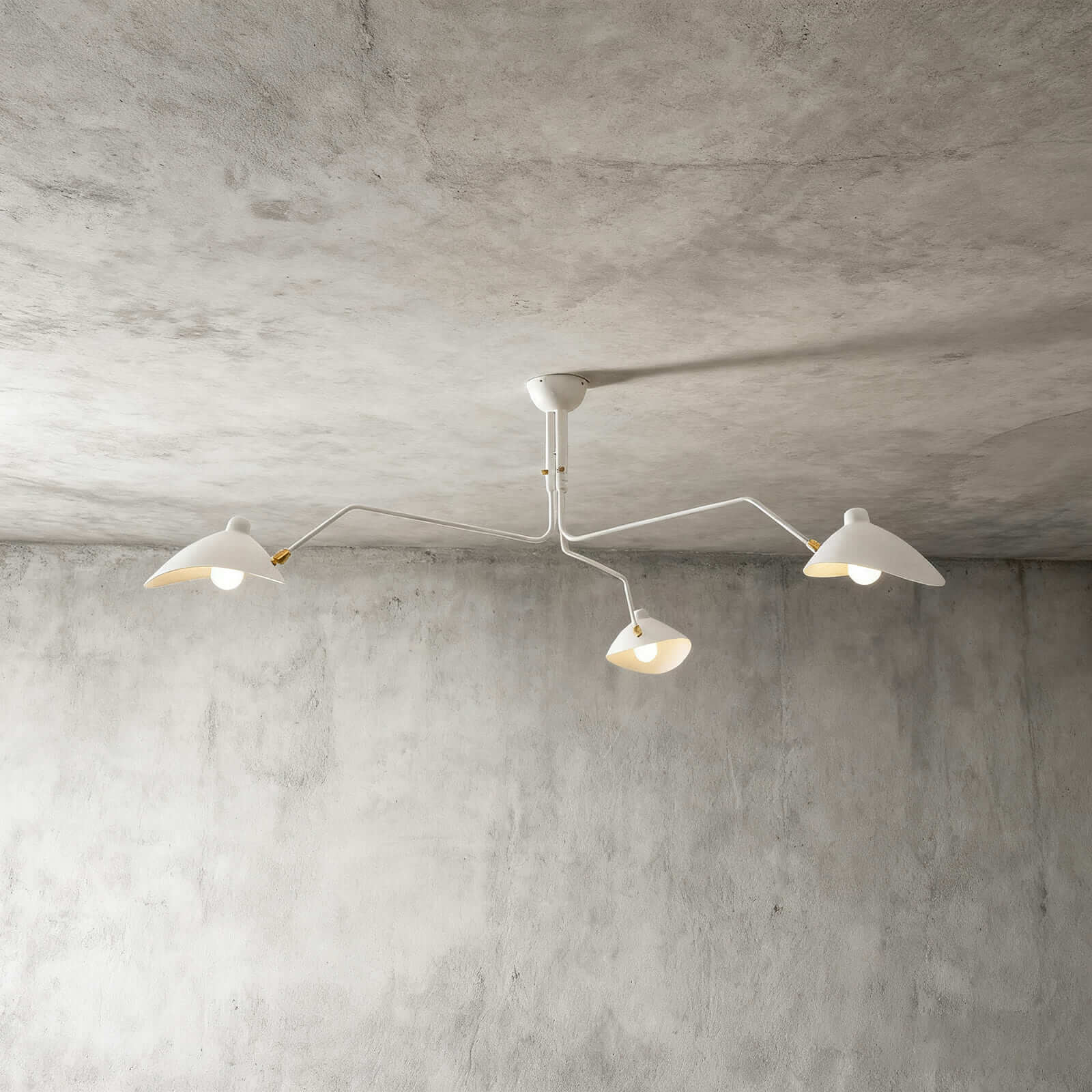 Multi Arm Ceiling Light Semi Flush Mount