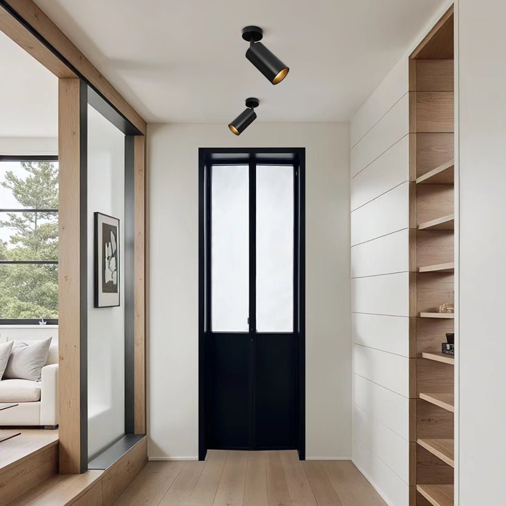 Directional Ceiling Spot Light