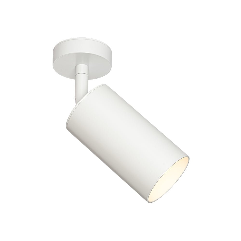 Directional Ceiling Spot Light