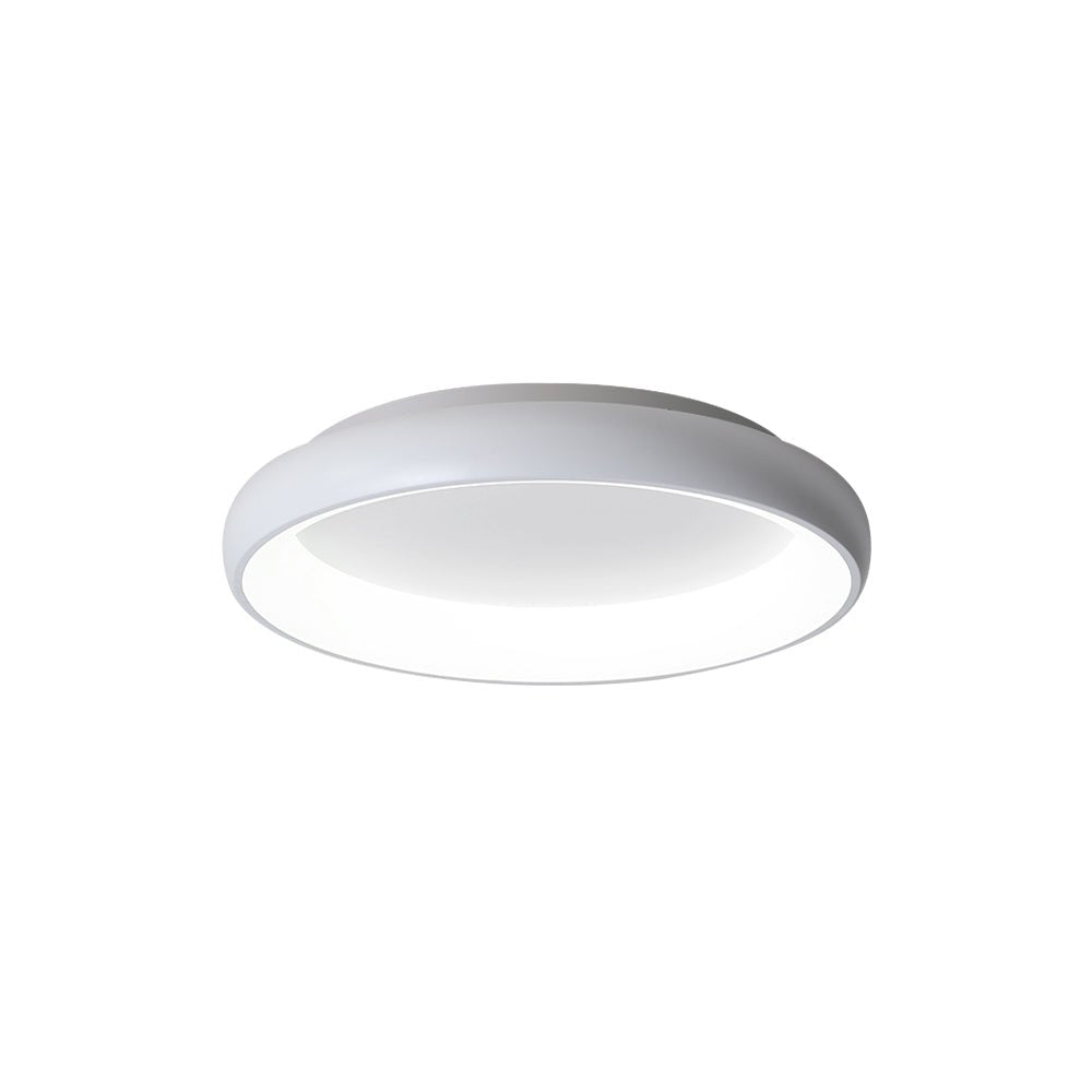 Round LED Flush Mount Ceiling Light