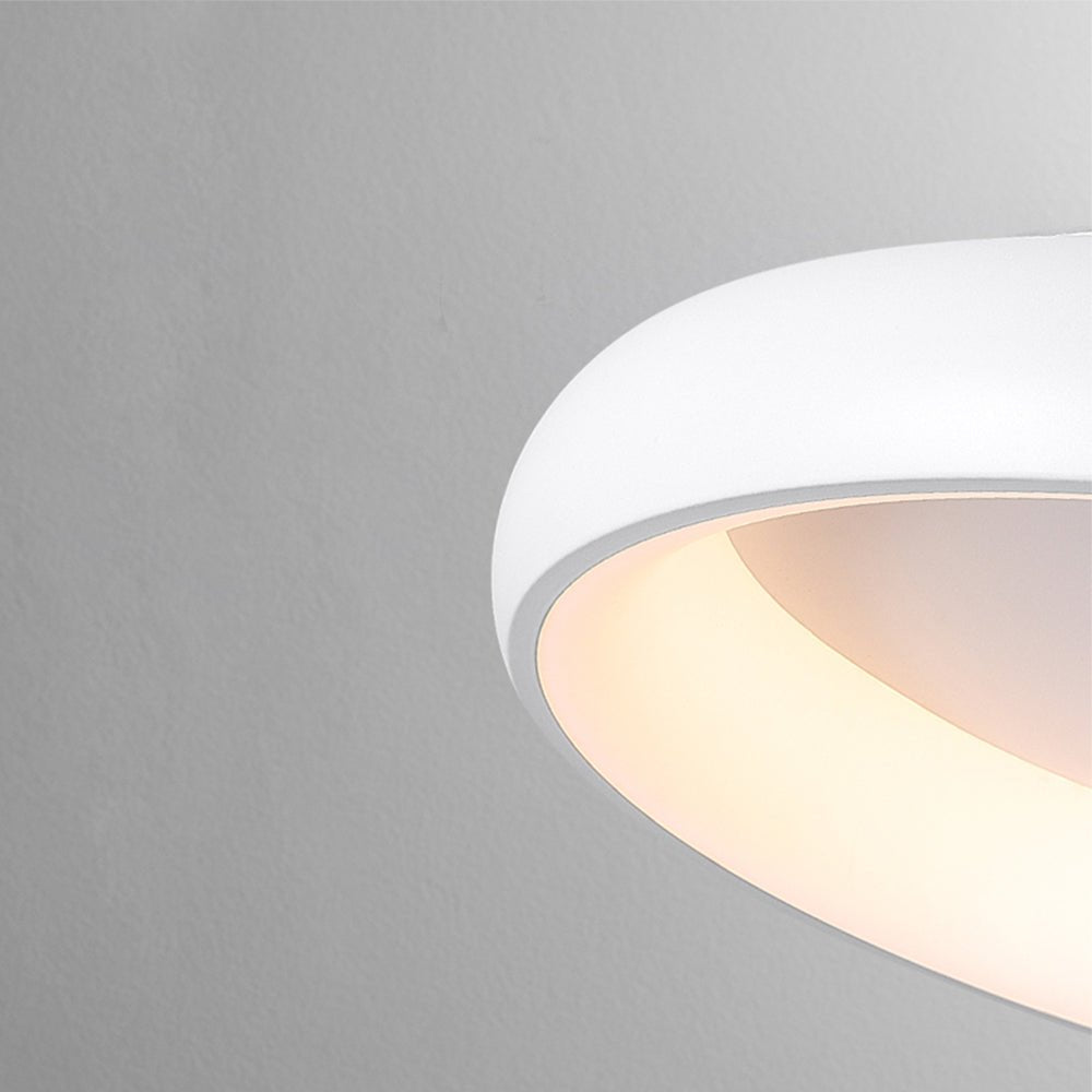 Round LED Flush Mount Ceiling Light