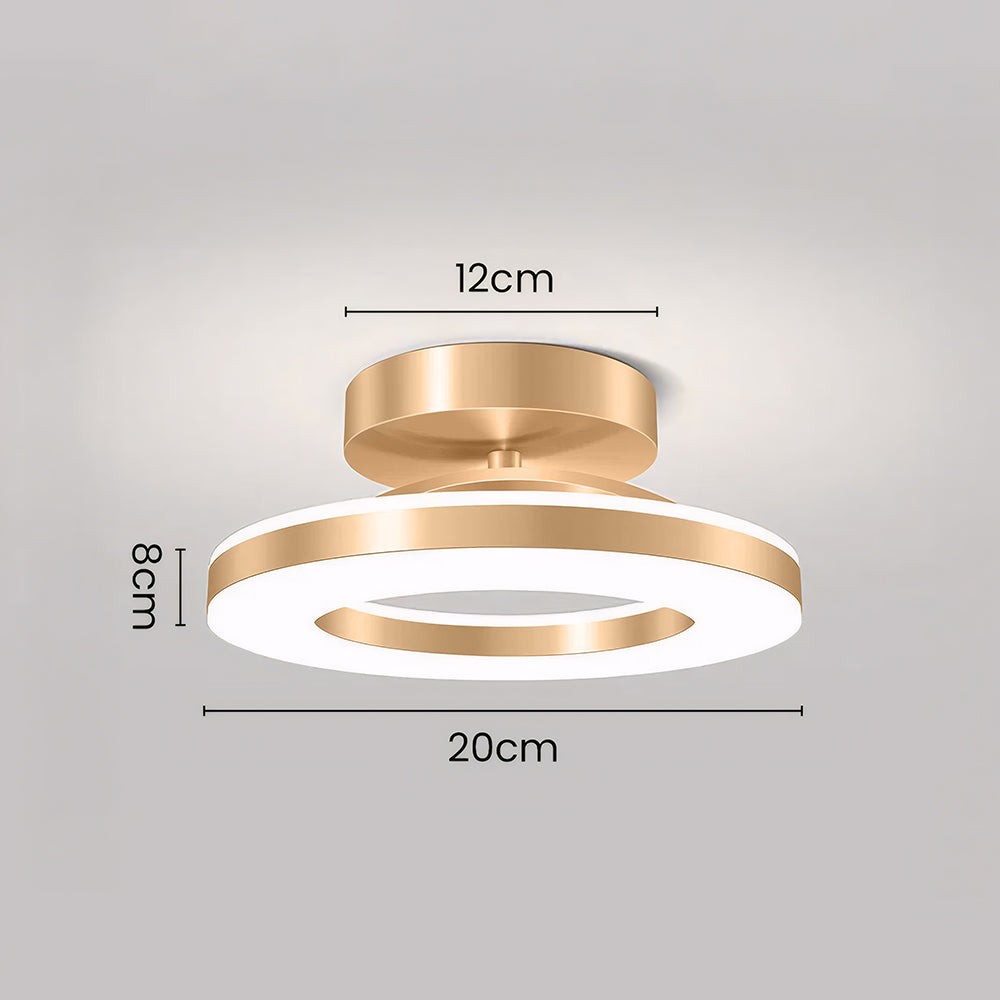Modern LED Ceiling Light Flush Mount