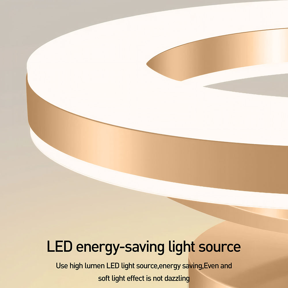 Modern LED Ceiling Light Flush Mount