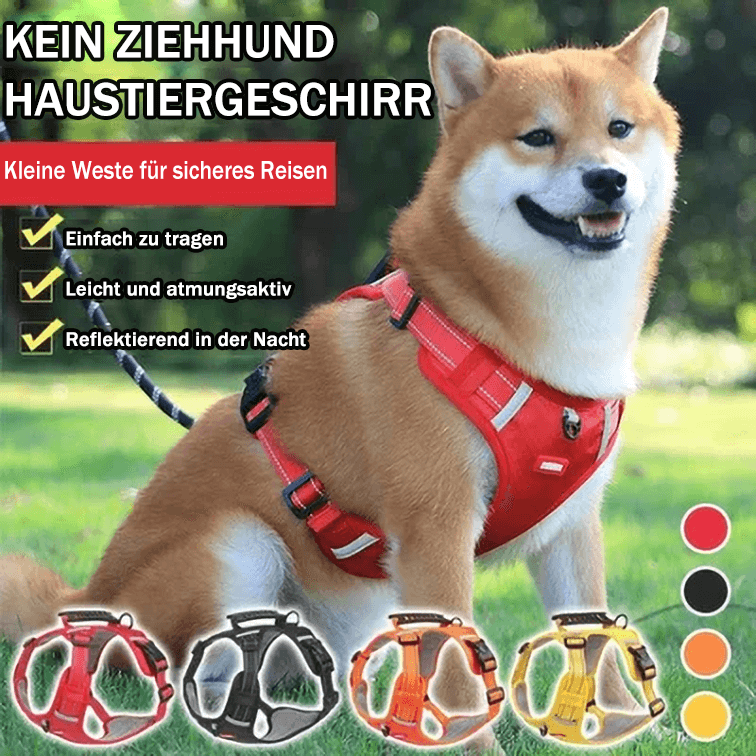No Pull Dog Harness for Small Dogs and Larger Breeds | Mesh Chest Panel with a Back Handle | Five Sizes, XS to XL