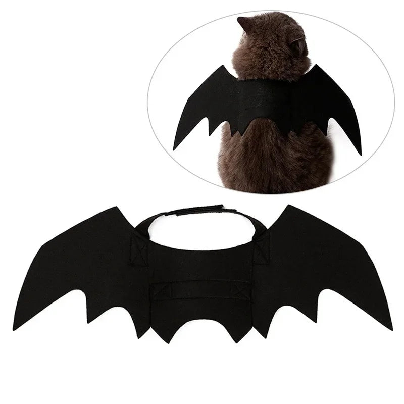 Bat wing pet outfit with adjustable velcro neck and chest straps