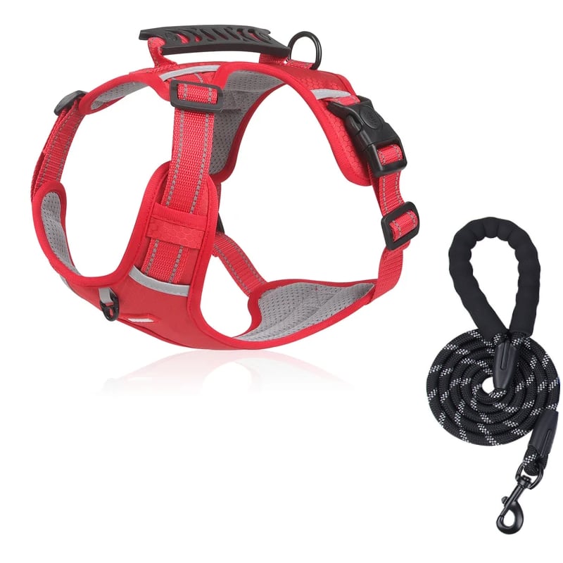 No Pull Dog Harness for Small Dogs and Larger Breeds | Mesh Chest Panel with a Back Handle | Five Sizes, XS to XL