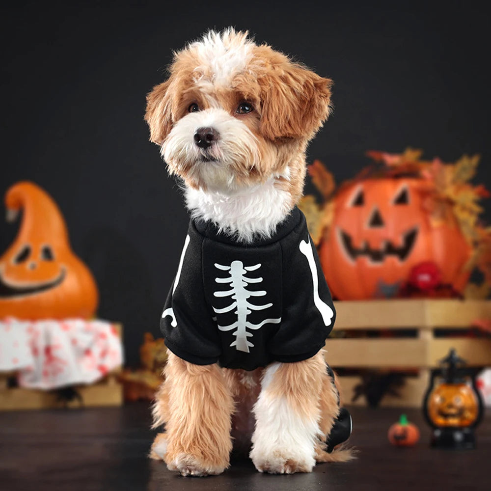 Skeleton Dog Halloween Costume | Glow In The Dark Print On Breathable Polyester | Four Leg Jumpsuit, Sizes M To XL