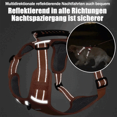 No Pull Dog Harness for Small Dogs and Larger Breeds | Mesh Chest Panel with a Back Handle | Five Sizes, XS to XL